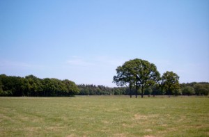 foto_2